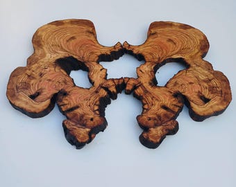Fetta di legno d'ulivo con bordo naturale, lastra per arredamento rustico.