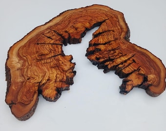 Fetta di legno d'ulivo con bordo naturale, lastra per arredamento rustico.