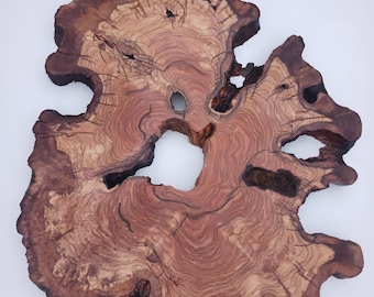 Lastra di legno d'ulivo: radica, bordo naturale, pezzo da progetto in resina epossidica