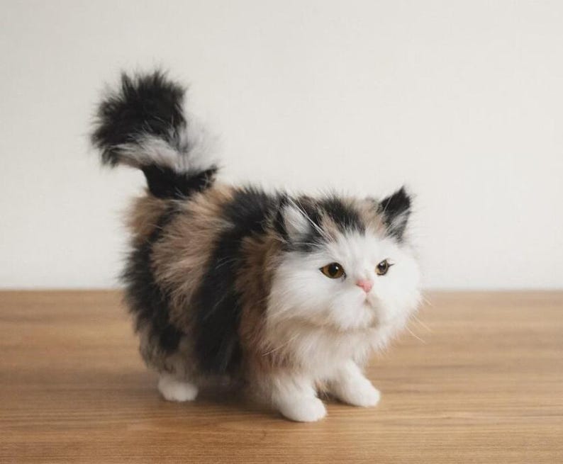 Puede incluir: Un gatito calic&oacute; de peluche, con cara blanca, ojos marrones y nariz rosa. El gatito tiene pelaje negro, marr&oacute;n y blanco y una cola esponjosa. Est&aacute; de pie sobre una superficie de madera.