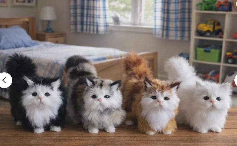 Puede incluir: Cinco gatos de juguete con pelaje esponjoso en fila, cada uno con un patr&oacute;n de color &uacute;nico. Los gatos tienen pelaje blanco, negro, gris y naranja. Est&aacute;n de pie sobre una superficie de madera en una habitaci&oacute;n con una cama y juguetes.