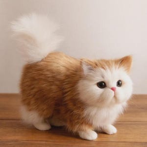 Puede incluir: Un gato esponjoso, naranja y blanco con una cola grande, blanca y esponjosa. El gato tiene ojos grandes y oscuros y una nariz rosada. El gato est&aacute; sobre una superficie de madera.