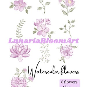 Pode incluir: Ilustração em aquarela de flores lavanda e folhas verdes. A imagem inclui o texto "LunariaBloomArt" e "Watercolor Flowers". Uma pequena caixa indica o número de flores e folhas: 6 flores e 4 folhas.