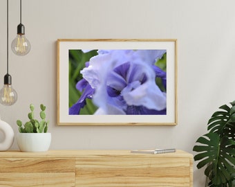 Digital Download Printable Wall Art - Inside a Bearded Iris - Instant Art - Garden and Flowers Wall Decor