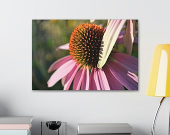 Echinacea Cone Flower Canvas Gallery Wraps - Photography Wall Decor - Nature Art - Great gift for Moms, Sisters, Wives and Garden Lovers