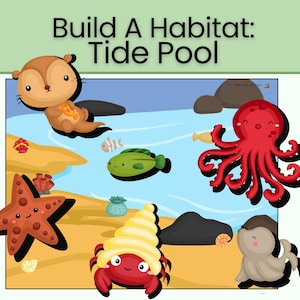 May include: An educational activity sheet titled Build A Habitat: Tide Pool featuring cartoon illustrations of a brown otter, a red octopus, a starfish, a crab with a yellow shell, and a seal on a sandy beach with blue water and dark rocks.