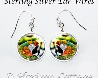 Colorful Parrot Earrings, Tropical Color Jewelry, Parrot Jewelry, Fine Art Photo, Your Choice of Finish