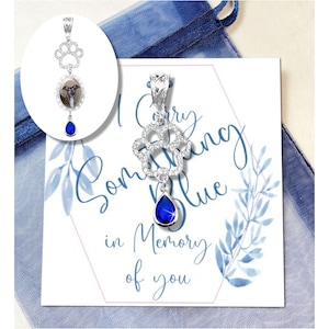 May include: A silver-toned pendant featuring a paw print outline encrusted with clear stones, a dangling blue teardrop-shaped gem, and a bail. A card displays the text I Carry Something Blue in Memory of you with blue leaf illustrations.