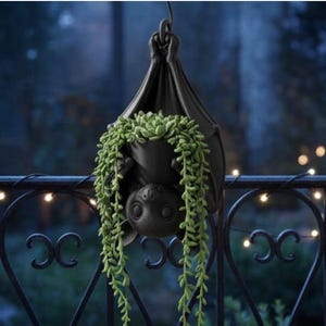 May include: A matte black hanging planter shaped like a bat with its wings wrapped around a central pot. A trailing green succulent plant with small, bead-like leaves spills over the sides of the bat-shaped container, which hangs from a metal hook.