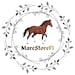 MarcStoreFI