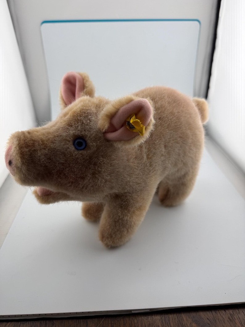 Vintage Steiff Pig Plush, Blue Eyes and Curly Tail, German Stuffed ...