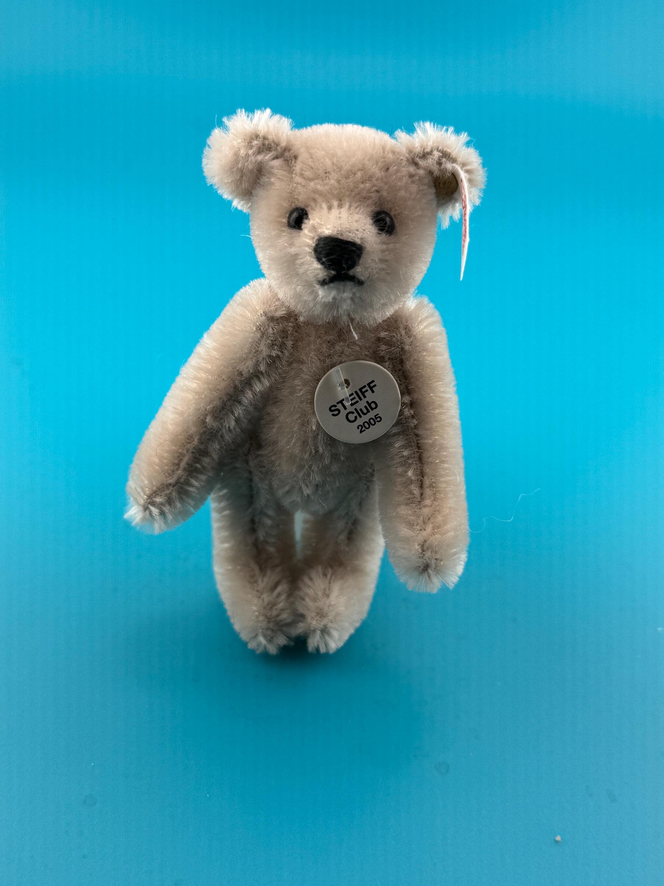 Steiff club bear - Etsy 日本