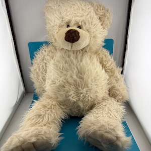 Può includere: Un orsacchiotto di peluche con pelliccia arruffata color crema e un naso marrone scuro. L'animale di peluche presenta orecchie arrotondate, un muso morbido e grandi piedi imbottiti. È seduto in posizione eretta, mostrando il suo tessuto testurizzato.