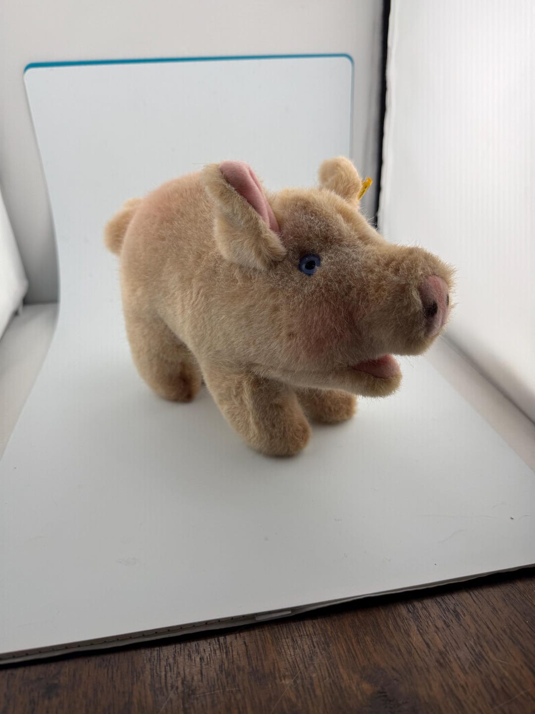 Vintage Steiff Pig Plush, Blue Eyes and Curly Tail, German Stuffed ...