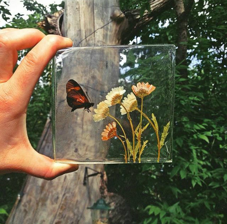 Verwonderlijk Uitgekozen geperst en gedroogd echte bloemen met echte vlinder | Etsy NM-76