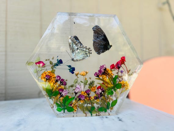 Hexagon Window Display -- Striped Blue Crow + Blue Clipper Butterfly Preserve