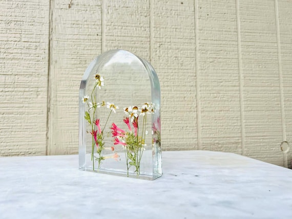 Hand picked and pressed pink and chamomile botanical specimens, Medium-sized Window Arch, Nature Display (dd_12)