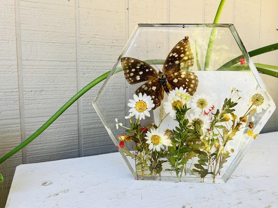 The Common Archduke's Hexagon Garden