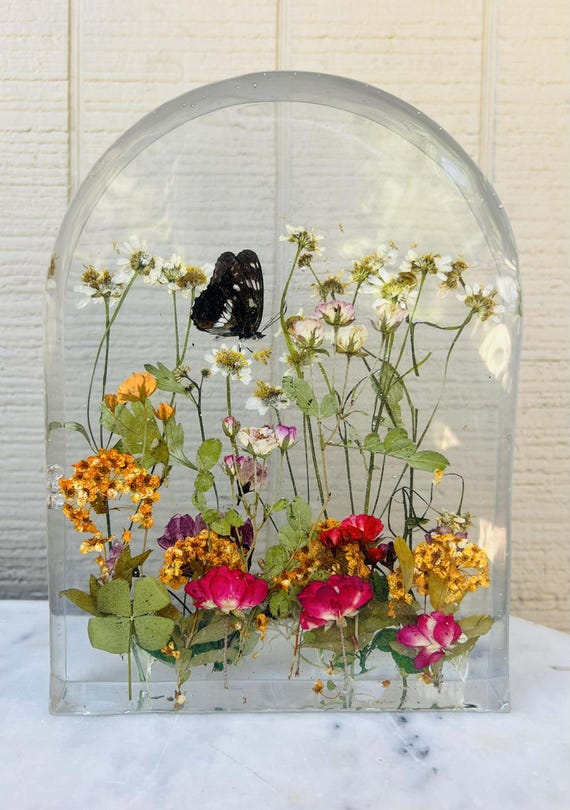 Hackberry Emperor Window Display Arch