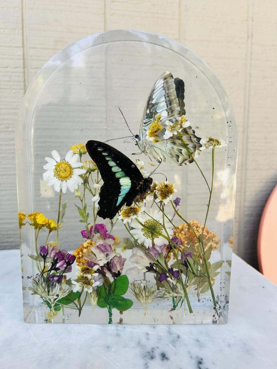 Real Blue Clipper & Common Bluebottle Butterflies in Botanical Resin Arch – Preserved Butterfly Display
