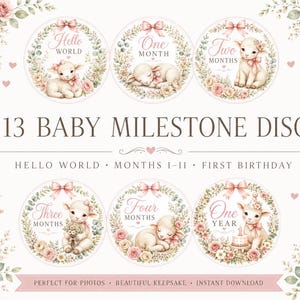Op de afbeelding: Een set van 13 ronde mijlpaalkaartjes voor baby's met illustraties van lammetjes, roze rozen en groen. De schijfjes bevatten tekst voor Hello World, maanden 1-11 en First Birthday, versierd met roze strikjes en bloemenkransen.