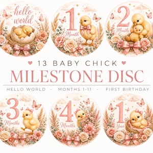 Puede incluir: Un conjunto de 13 discos circulares de hitos para bebés con ilustraciones de pollitos amarillos, flores rosas, mariposas y lazos. El texto incluye 'hello world', '1 Month' hasta '11 Months', '1 Year' y '13 BABY CHICK MILESTONE DISC'.