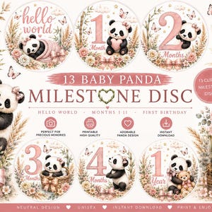 Milstolpeskivor för babyflickor, milstolpekort för rosa panda, utskrivbara månadsskyltar för babyn, hej världen till 1 år, blommig barnrumsdekoration