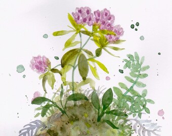 Original watercolor: “A little piece of nature II” Plants, plantlover, leaf, greenery, nature, roots, painting, art, watercolor