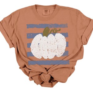 May include: A terracotta-colored short-sleeve t-shirt featuring a distressed white pumpkin graphic centered over horizontal blue stripes. The shirt has a crew neckline and a label at the inner collar with the text Comfort Colors S P CH.