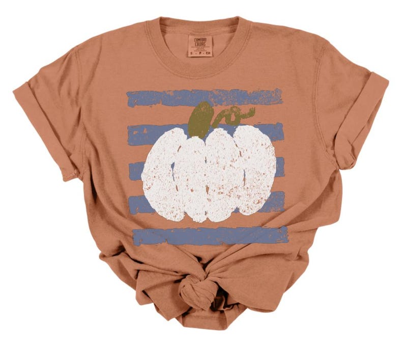 May include: A terracotta-colored short-sleeve t-shirt featuring a distressed white pumpkin graphic centered over horizontal blue stripes. The shirt has a crew neckline and a label at the inner collar with the text Comfort Colors S P CH.