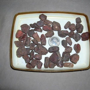 May include: A collection of small, rough, dark reddish-brown stones scattered on a rectangular white tray with a gold-colored rim. A silver-colored United States dime coin is placed among the stones to provide a sense of scale for the objects.