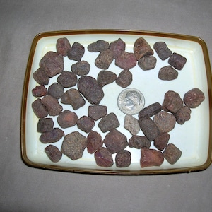 May include: A collection of small, irregularly shaped, reddish-brown rocks displayed on a white rectangular dish with a gold-colored rim. A U.S. dime is included for size reference. The rocks vary in size and shade, creating a natural, earthy aesthetic.