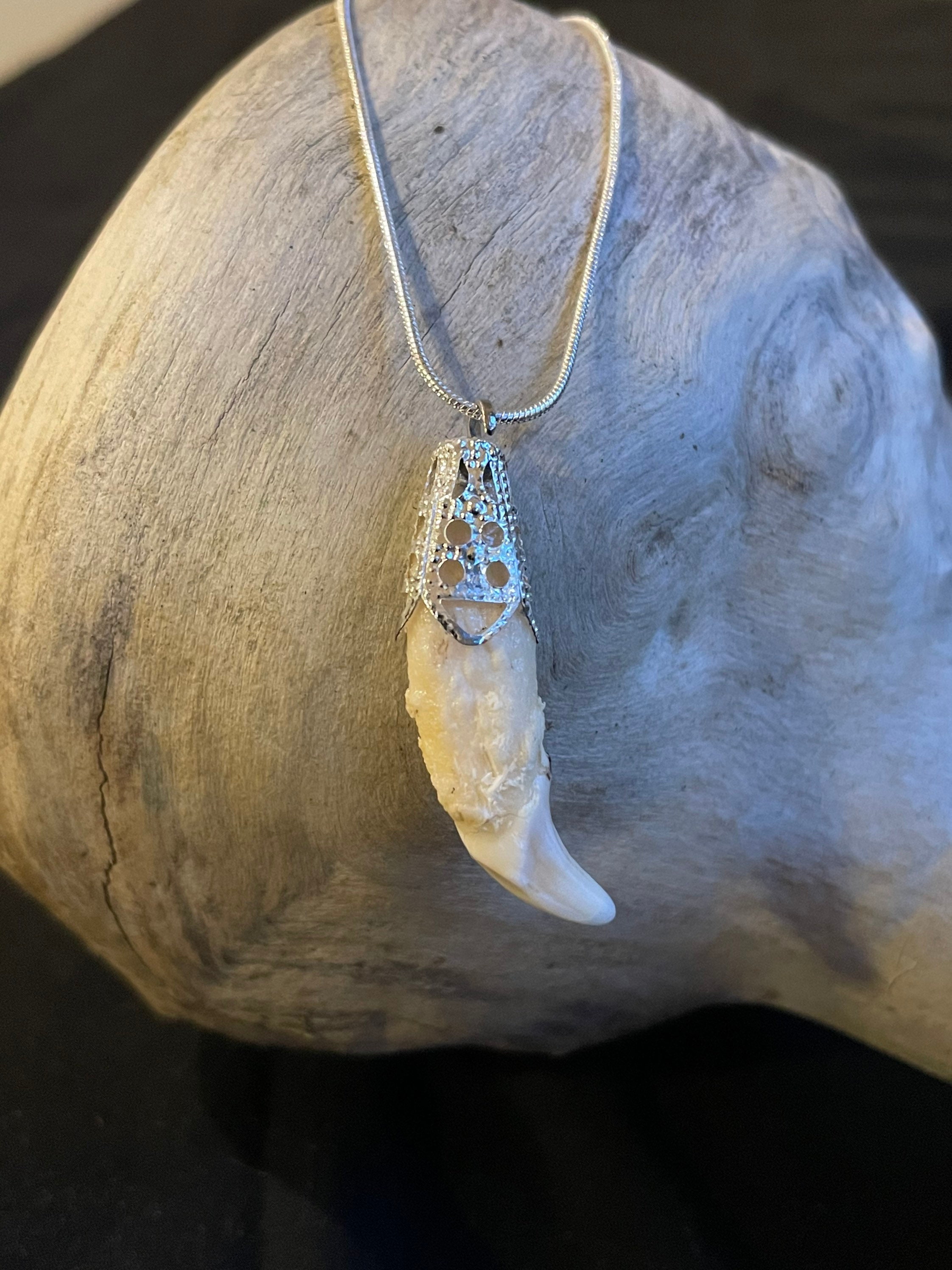 Dog k9 tooth pendant necklace Etsy