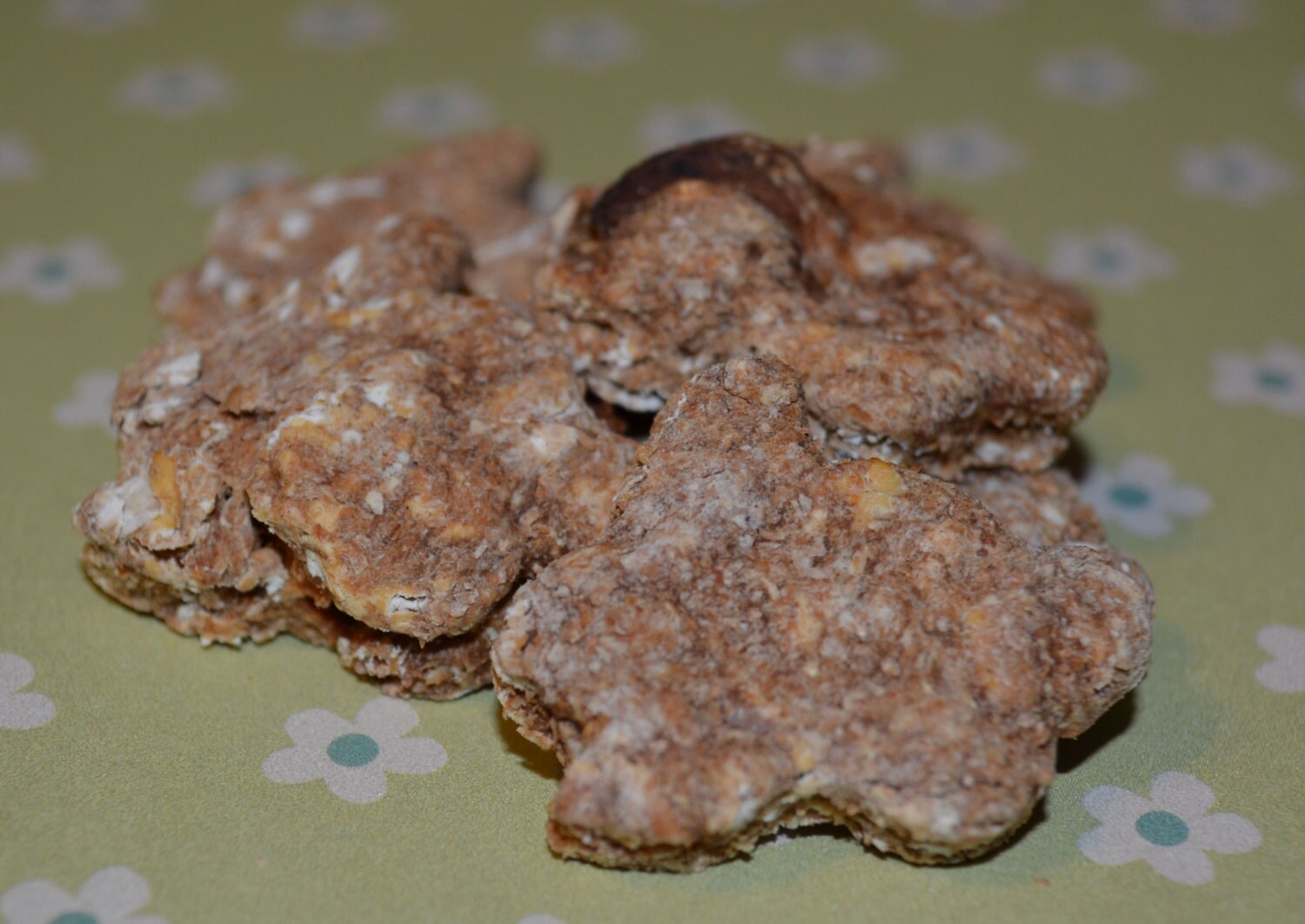 apple cinnamon dog biscuit recipe apple cinnamon dog biscuit recipe