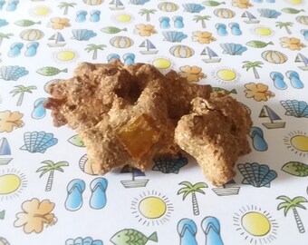 Coconut Pineapple Dog Treats