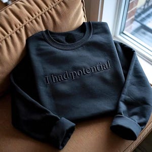 I Had Potential Embroidered Sweatshirt, Project Hail Mary Tshirt, Amaze Amaze Amaze Rocky Shirt, Physics Tee, Science Nerdy Shirt