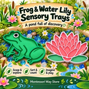 May include: A green frog-shaped tray and a pink water lily-shaped tray. The image features the text Frog & Water Lily Sensory Trays, A pond full of discovery, Scoop & explore, Sort & count, Imagine & play, and Montessori Way Store.