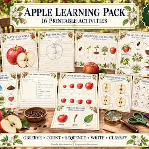 May include: An Apple Learning Pack featuring 16 printable activity sheets with illustrations of apples, life cycles, and counting exercises. The set includes educational worksheets, a magnifying glass, scissors, and pencils on a wooden surface.