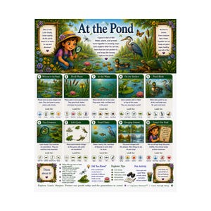 May include: An educational poster titled At the Pond featuring illustrations of a child, a heron, a duck, and a turtle. It includes ten numbered sections detailing pond life, plants, animals, life cycles, food chains, and seasonal changes with text.