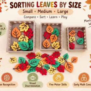 May include: A set of three rectangular trays containing assorted small, medium, and large leaf-shaped pieces in red, orange, yellow, and green. The text reads SORTING LEAVES BY SIZE, Small, Medium, Large, Compare, Sort, Learn, Play, Made from PLA, Montessori Way, Size Recognition, Visual Discrimination, Fine Motor Skills, and Early Math Concepts.