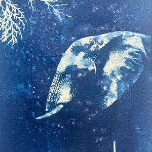 May include: A cyanotype print on textured paper featuring a deep blue background with a white silhouette of an elephant head and trunk. The composition includes a delicate, branch-like white botanical element in the upper left corner and small white circular speckles throughout the scene, creating an underwater or ethereal effect.