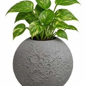 Moon NASA Planter