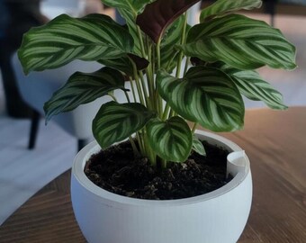 Piccolo vaso per piante da interno autoirrigante / Decorazione moderna per la casa