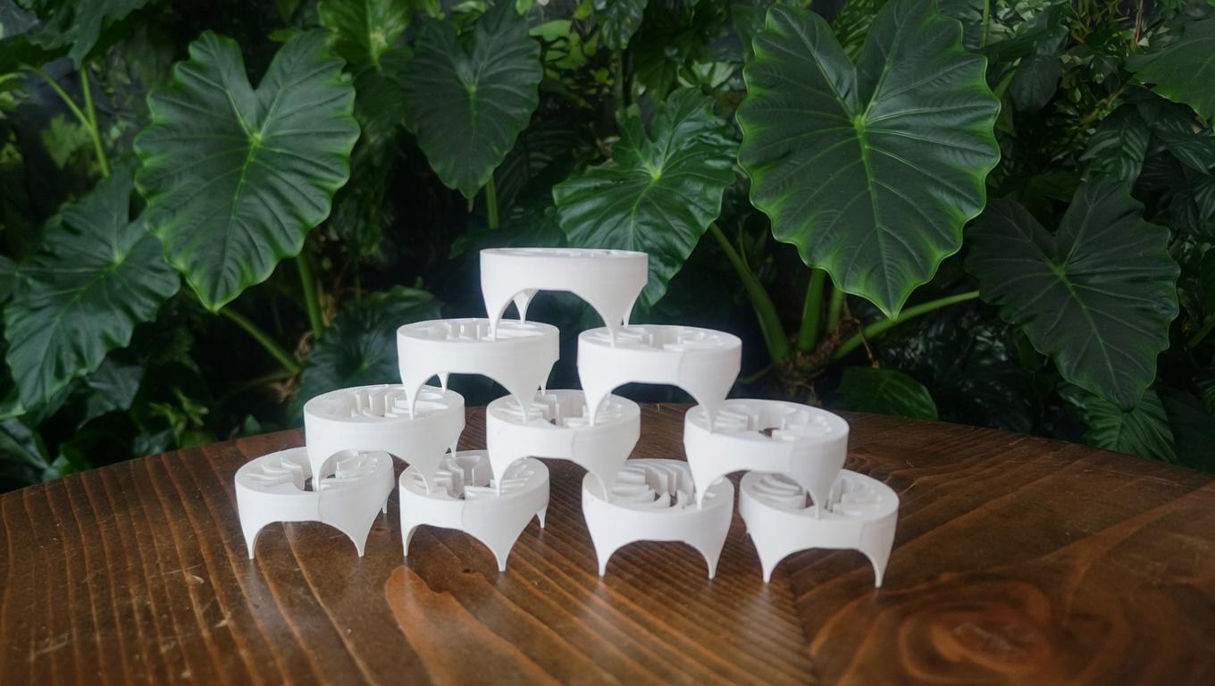 Corm Riser Corm Riser Disc Alocasia Propogation X 10 - Etsy