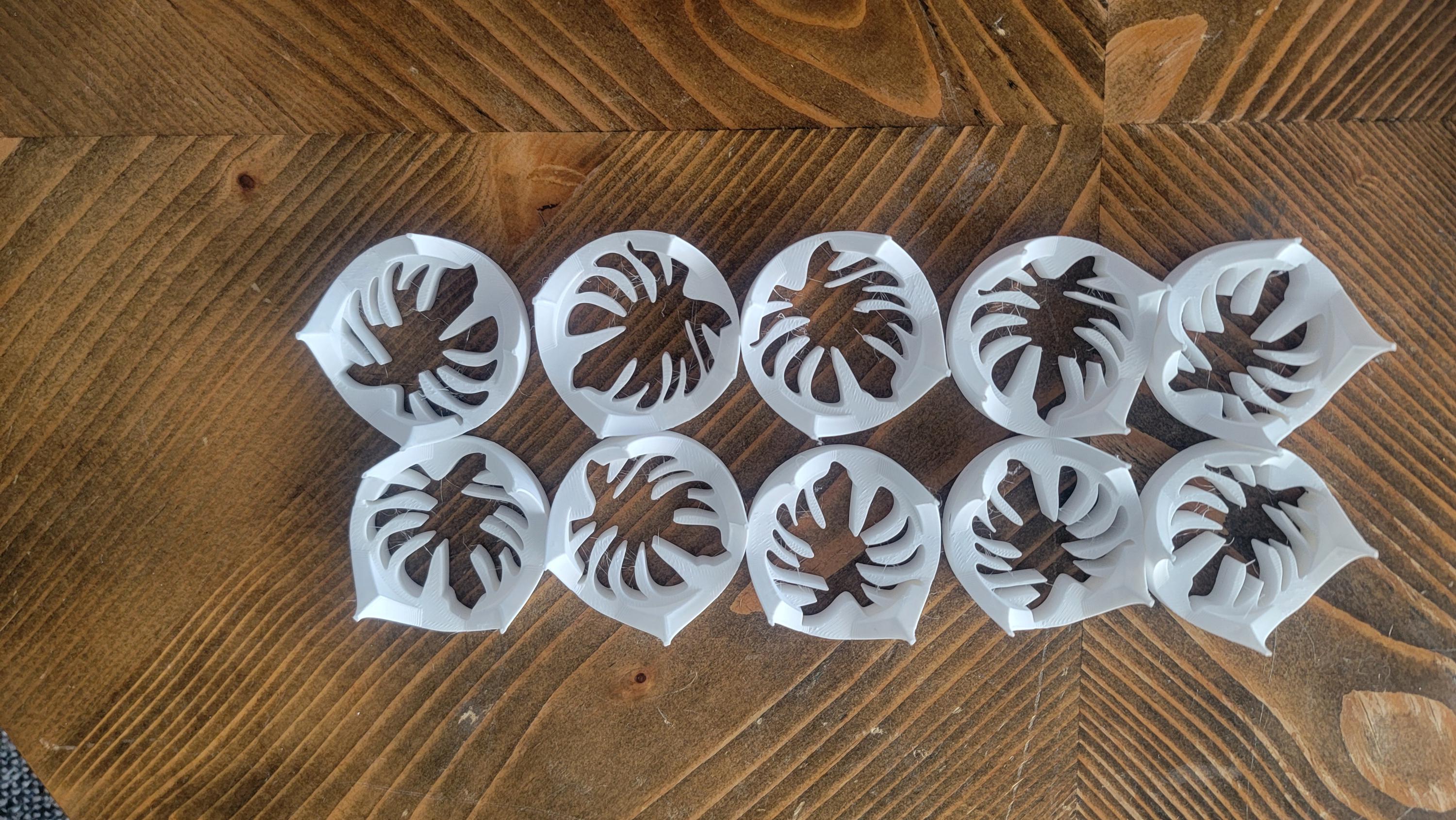 Corm Riser Corm Riser Disc Alocasia Propogation X 10 - Etsy
