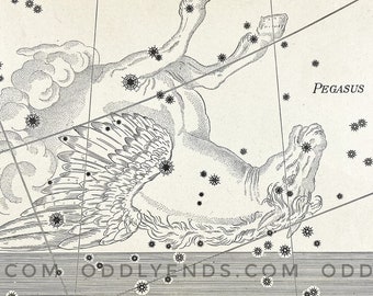 1900s Pegasus Constellation, Not Reproduction, Antique Publication, Astronomy, Space, Stars, Vintage Home Decor