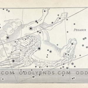 1900s Pegasus Constellation, Not Reproduction, Antique Publication, Astronomy, Space, Stars, Vintage Home Decor