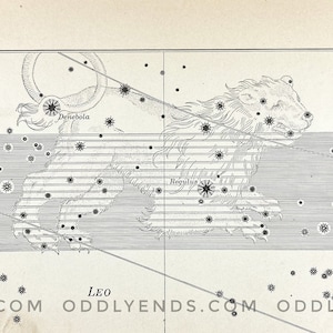 1900s Leo Constellation, Not Reproduction, Antique Publication, Astronomy, Space, Stars, Vintage Home Decor