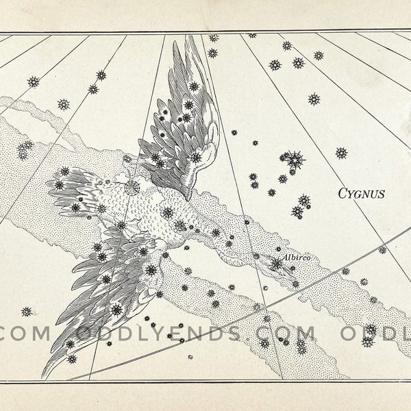 1900s Cygnus Constellation, Not Reproduction, Antique Publication, Astronomy, Space, Stars, Vintage Home Decor
