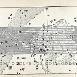 1900s Taurus Constellation, Not Reproduction, Antique Publication, Astronomy, Space, Stars, Vintage Home Decor